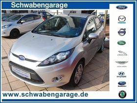 FORD Fiesta 1.4 Champions Edition PDC WINTERPAKET