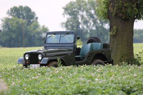 Jeep Willys CJ-5 offen - Männertraum als Wertanlage