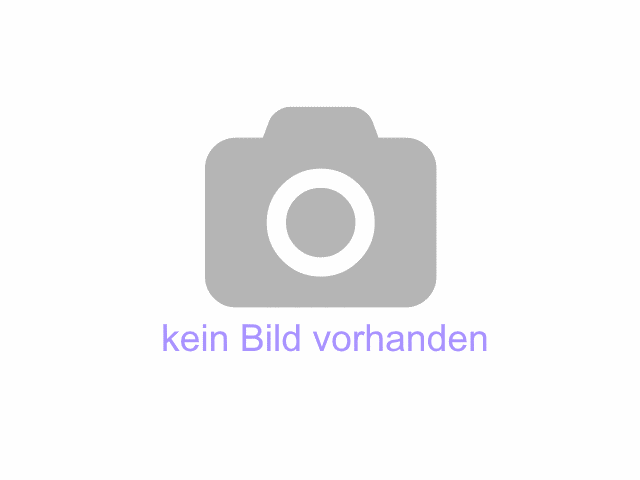 Leonberger Welpen m. Papieren
